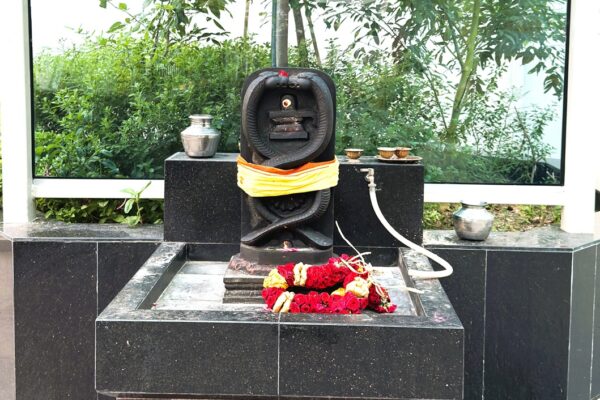 Temple Deity 14