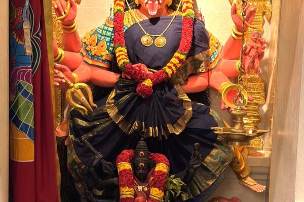Temple Deity 30