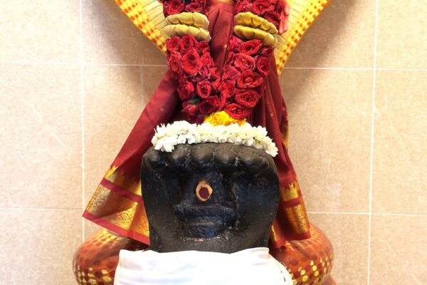 Temple Deity 8